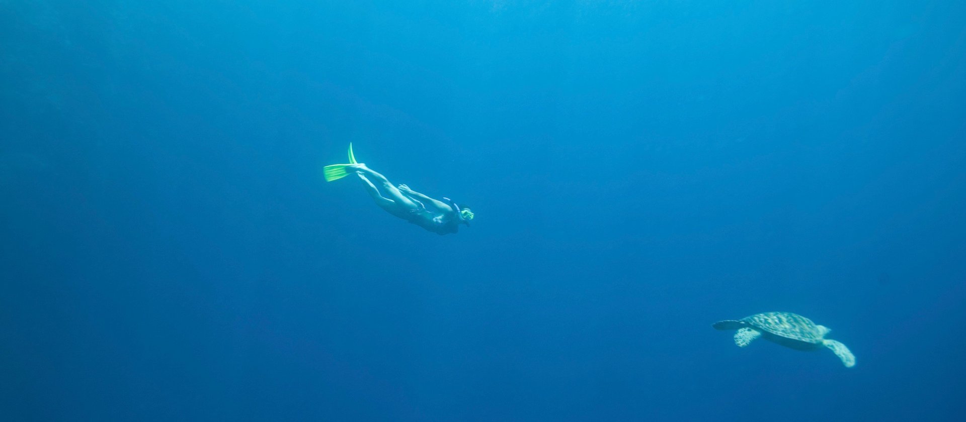 PADI snorkeling lesson