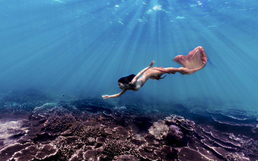 Eine Meerjungfrau im Meer nach dem PADI Tauchkurs bei TSK.