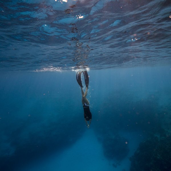 Freediver