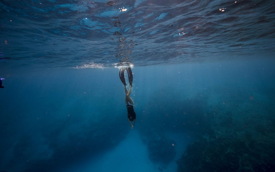 Freediver