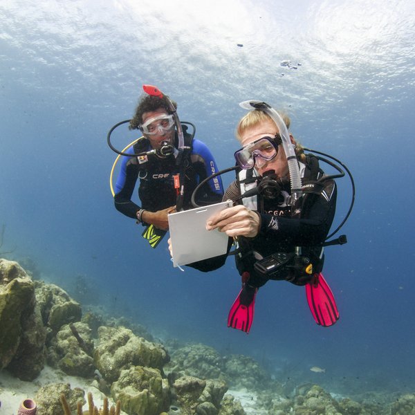 PADI IDC Staff Instructor