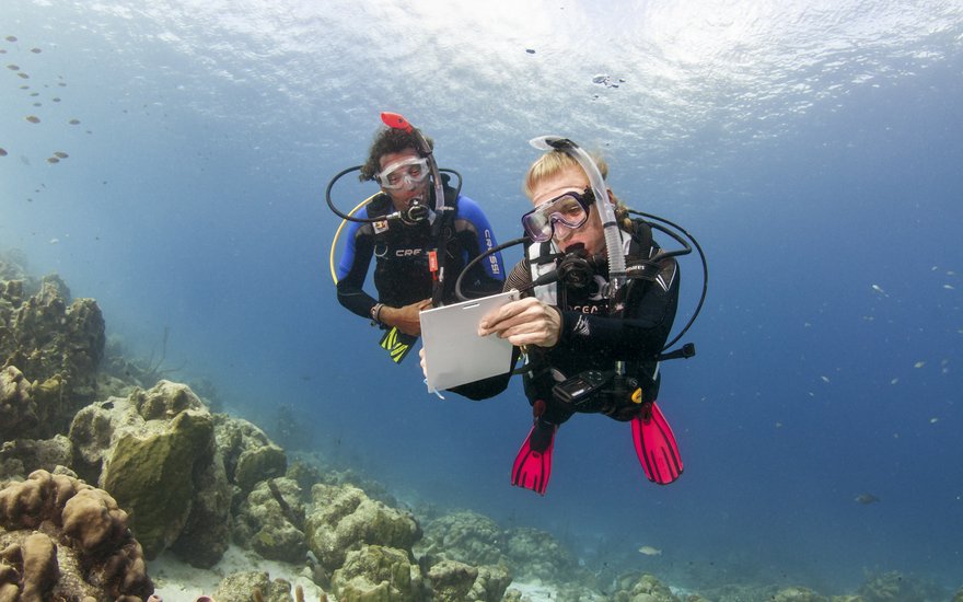 [Translate to English:] PADI IDC Staff Instructor