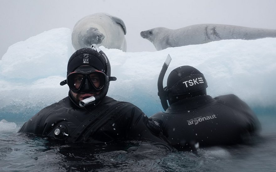 Zwei Taucher von TSK während dem Schnorcheln - Tauchreise in der Antarktis