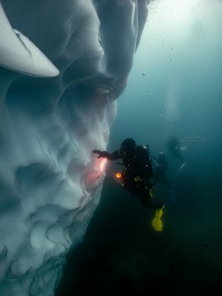 Eisberg in der Antarktis auf einer TSK Tauchreise