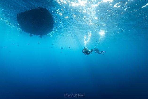 Zwei Taucher im blauen Wasser