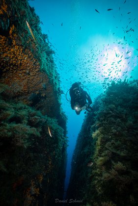 Fische, Taucher und die Sonne im Hintergrund