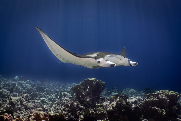 Foto Stefan Schlegel