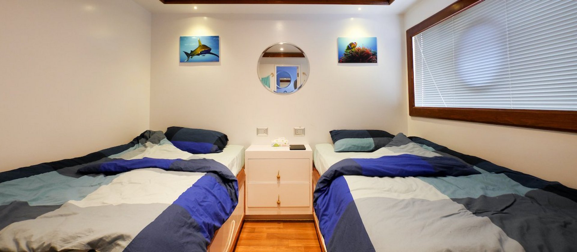 OceanWindow Red Sea Safari 2021 Cabin