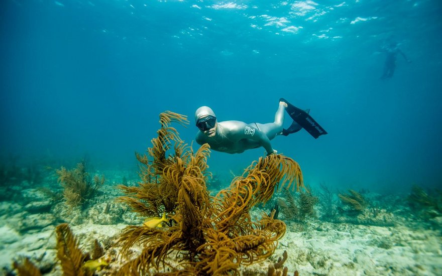 PADI Freediver