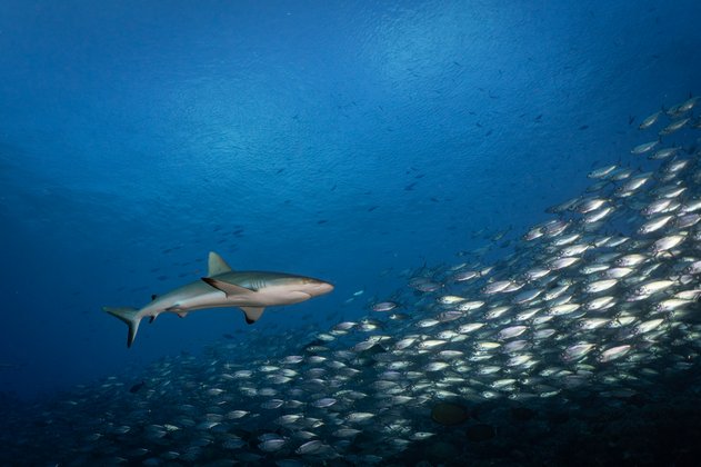 Foto Stefan Schlegel