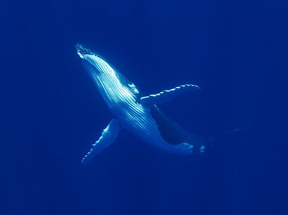 Foto Jürg Schlegel