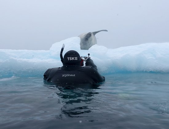 TSK Antarktis Tauchreise Schnorcheln im Eis