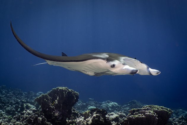 Foto Stefan Schlegel