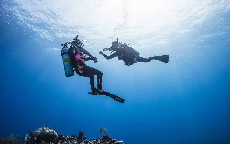 PADi Instructor