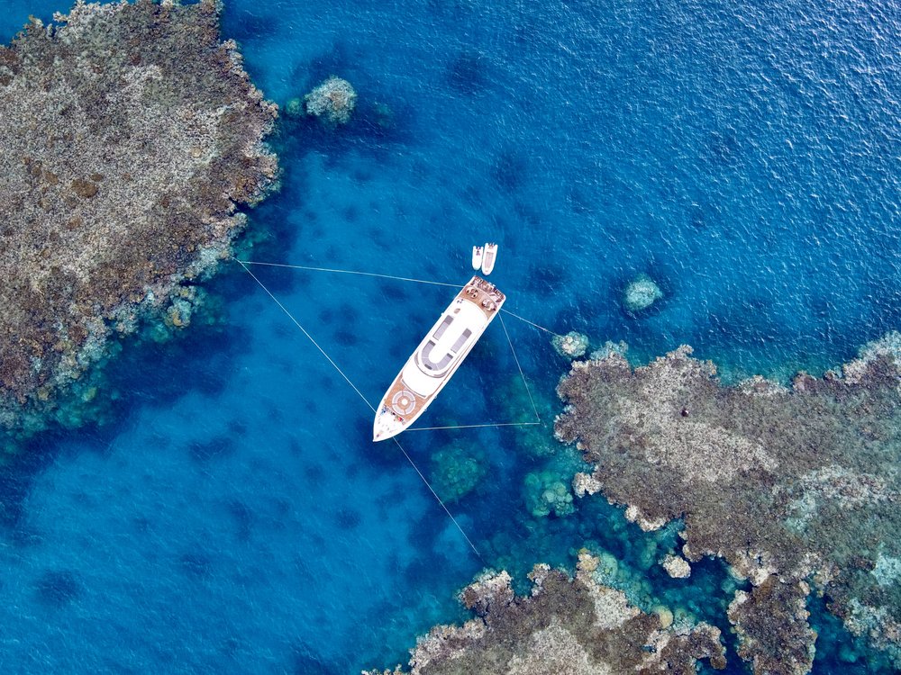 Drohnenaufnahme vom Safariboot zwischen zwei Riffs
