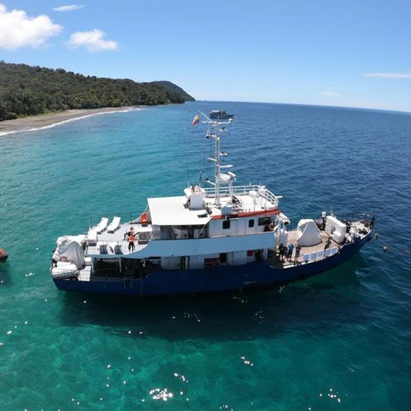 Tauchsafari nach Malpelo Kolumbien