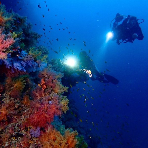 Korallengarten auf Raja Ampat