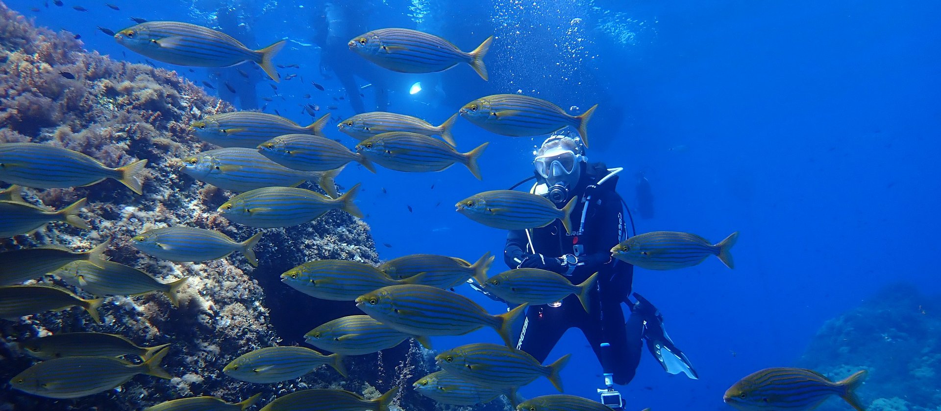 TSK-Taucher sieht viele Fische unter Wasser bei seiner TSK-Tauchreise.