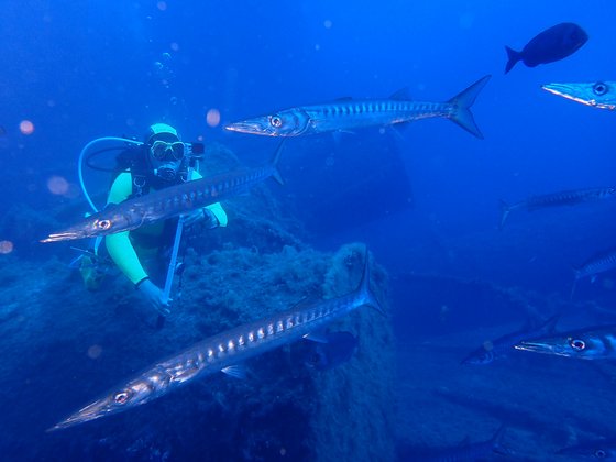 Ibiza Diving