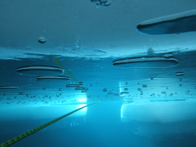 Foto von Eisblöcken Unterwasser mit Seil 